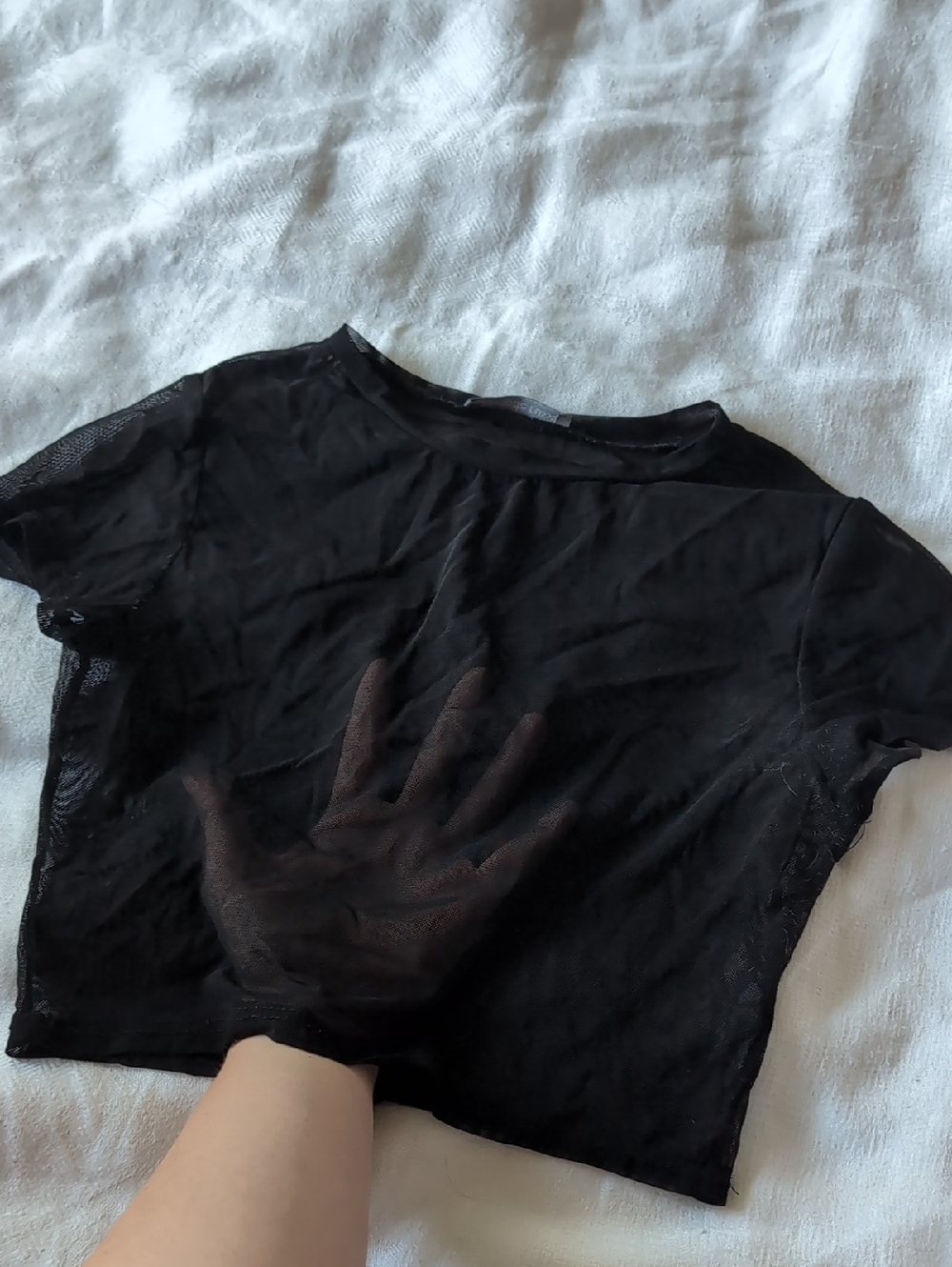 Charlotte Russe Black Sheer Cropped Tee